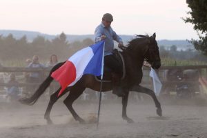 Tag des Pferdes - Horb am Neckar 2019