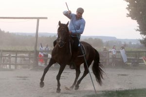 Tag des Pferdes - Horb am Neckar 2019