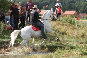 Working Marchador, Horb am Neckar, 2015