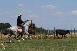 Working Marchador, Horb am Neckar, 2015