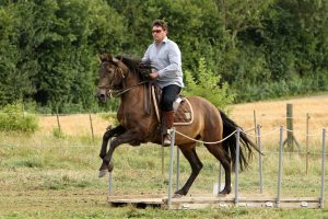 Tag des Pferdes - Horb am Neckar 2019